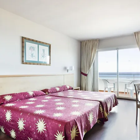 Hotel Oasis Tropical